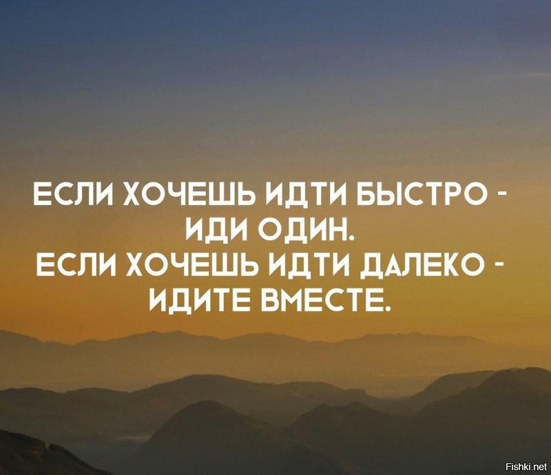 Каждый когда-нибудь наблюдал за клином диких гусей, которые летят в теплые кр...