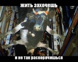 Подборка автомобильных приколов