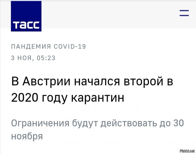 В погоне за «свободой слова»: полупустые улицы Вены как отражение европейской несдержанности