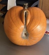 Гинеколога...