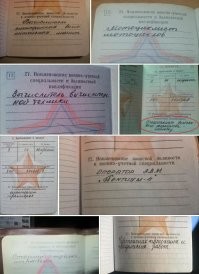 Да там таких специалистов...