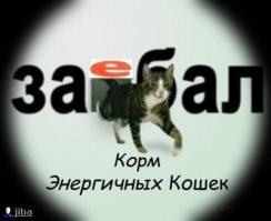 Баянистые демотиваторы