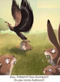 Неудачная попытка ястреба взлететь со своей добычей