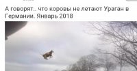 Намешалось
