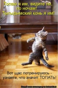 Веселые ночки ждут хозяев на этой кровати.