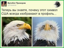 Загадки для любителей поломать голову