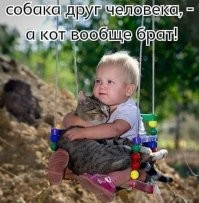 Прикольные и смешные картинки