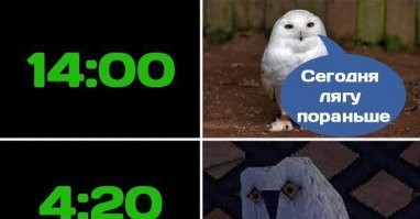 Прикольные и смешные картинки