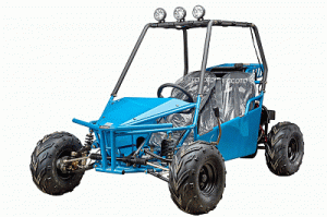 В чём проблема  африканцев производить багги они дешевле их пародий на автомобили.  например  вот  98 000р.