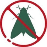 Российские ученые нашли инновационный способ переработать пластик: при помощи моли