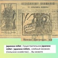 Мда... Журналисты всё на свете, путали всегда.