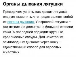 Это лягушка.