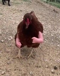 Подборка треша с алиекспресса