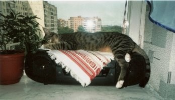 Диджей устал