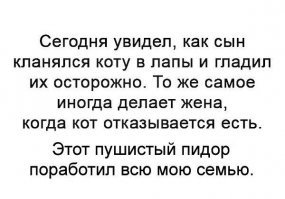 Кровать, которая является прекрасным домиком для вашей кошки