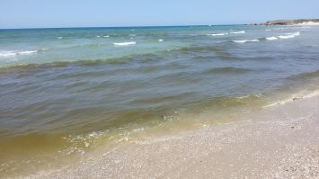 Немало рек используются для слива стоков. В наших краях - речка и участок моря, куда эта речка впадает.