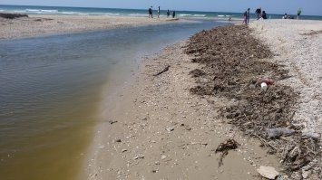 Немало рек используются для слива стоков. В наших краях - речка и участок моря, куда эта речка впадает.