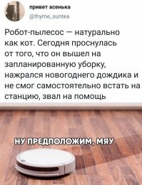 25 доказательств того, что роботы-пылесосы - те еще проказники