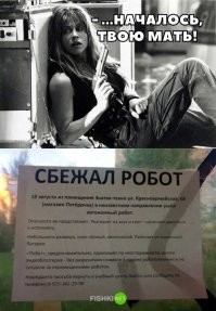 25 доказательств того, что роботы-пылесосы - те еще проказники