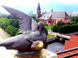 «Затертые до дыр»: достопримечательности, безжалостно истребляемые «на удачу»