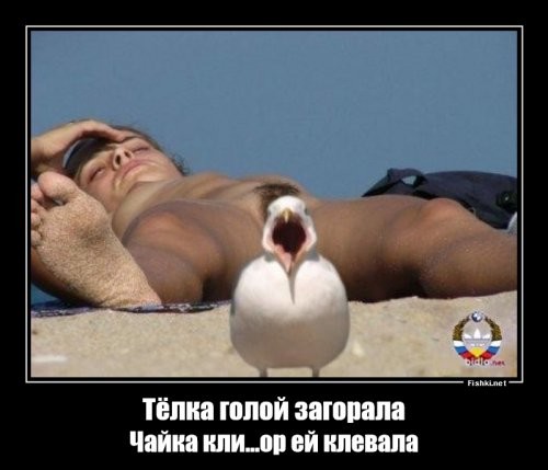 Звезда пляжа: девушка загорает в Сочи без одежды