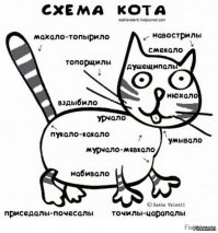 Кошачий фотопозитив