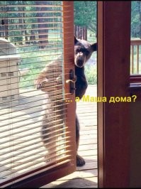 Фотоподборка