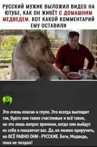 Очень печальная история про медведицу, медвежонка и атомную подводную лодку