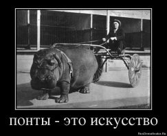 Понты дороже денег: показушники из соцсетей