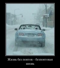 Понты дороже денег: показушники из соцсетей