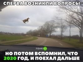Нормальное качество 2 картинки