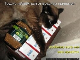 17 привычек людей, которые жутко раздражают!