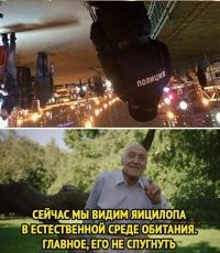 Ну так-то нормально?