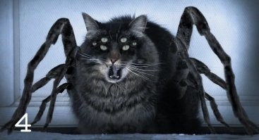Прикольные и смешные картинки