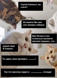 Новый год отменяется: в Москве запретили Деда Мороза, Снегурочку и праздничные гуляния
