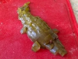 феееричный эксклюзивный абалденно вкусный пальчики оближеш салат Крокодил, на десерт нежный салат змейка с веточкой розмарина...