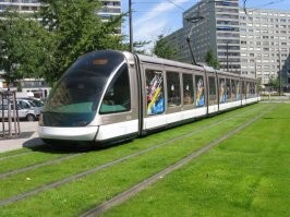 Разносортица