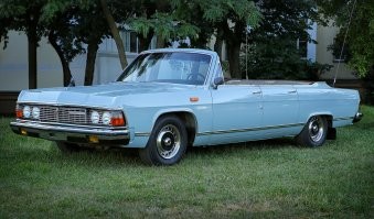 не все чайки были черными. для принятия парада на красной площади делали голубые. как минимум две.