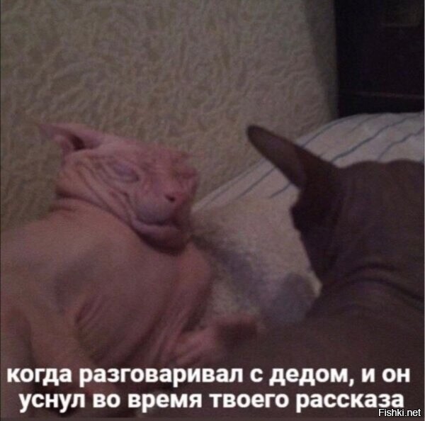 Я также делаю, когда сына про майнкрафт или блогеров заводит речь... это походу уже инстинкт поколений на тупизну - следующего поколения))
