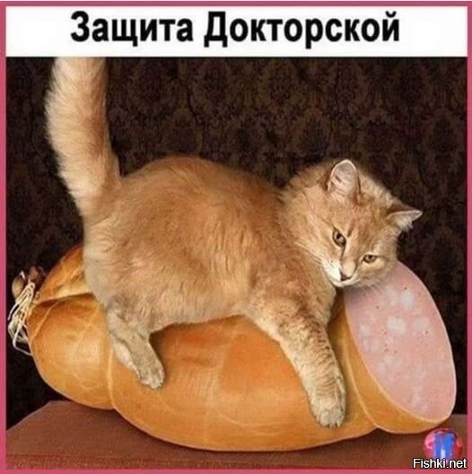 Картинки с надписями