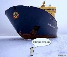 Нужна девушка в аренду: показуха нового уровня