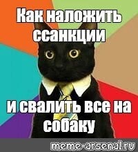 Мурбс: журнал для твоего кота