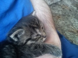 Разница в 5 лет.