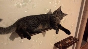 Разница в 5 лет.