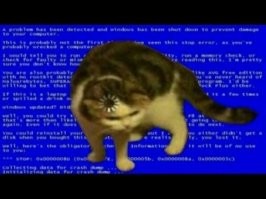 Скрины из социальных сетей