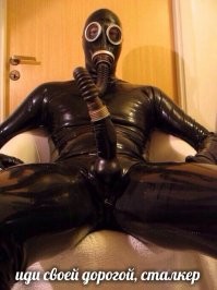 За сбор грибов в Чернобыле мужчинам грозит до 3 лет тюрьмы