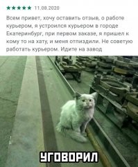 Котофей упитаненький такой, ну и пусть, что чумазик.
Его поди Петрович или Иваныч кличут