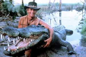 по ходу, у Данди домашний питомец збежал)