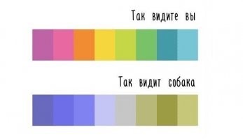 15 личностей, которые неожиданно столкнулись с превратностями судьбы 
