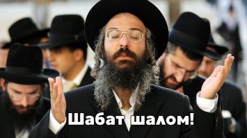 Прикольные и смешные картинки